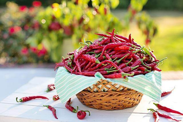 chili peppers for metabolism