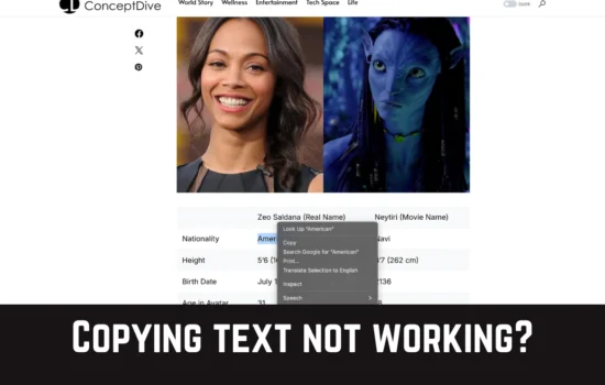 Copying text on website not working
