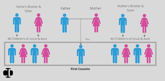 First cousins