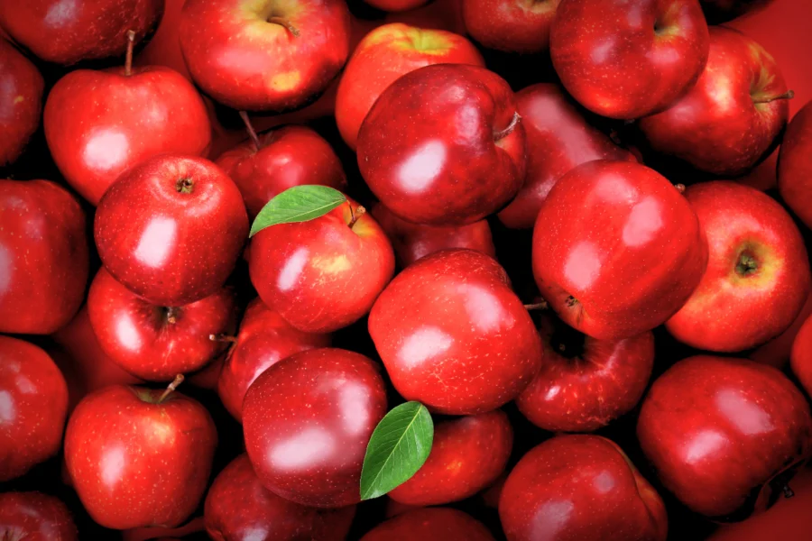 Red Delicious Apple