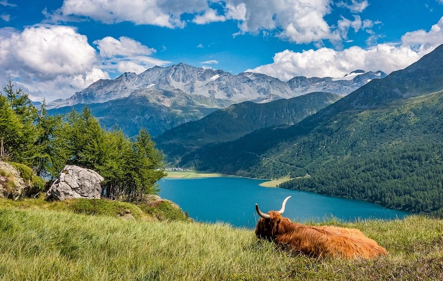Switzerland